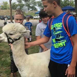 Meet your Posher, Taylor